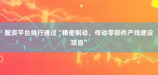 配资平台排行通过“精密制动、传动零部件产线建设项目”