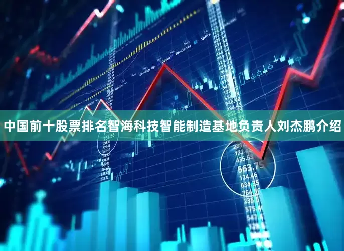 中国前十股票排名智海科技智能制造基地负责人刘杰鹏介绍