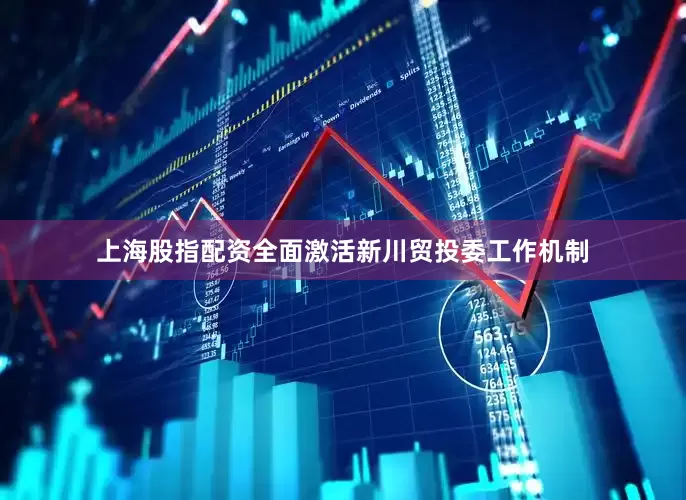 上海股指配资全面激活新川贸投委工作机制